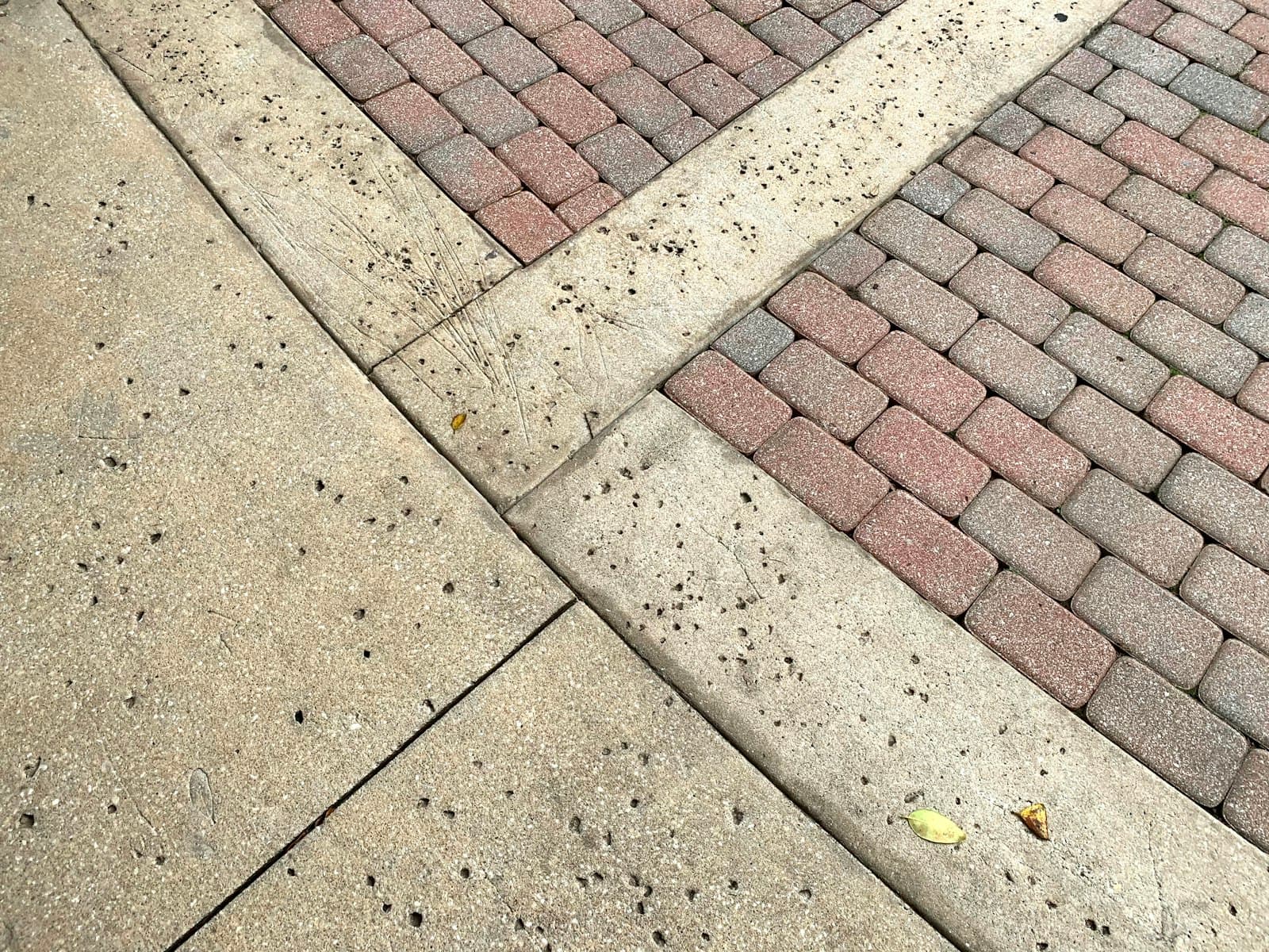 Concrete walkway meeting red brick pavers, the kind of grime reviews complain about