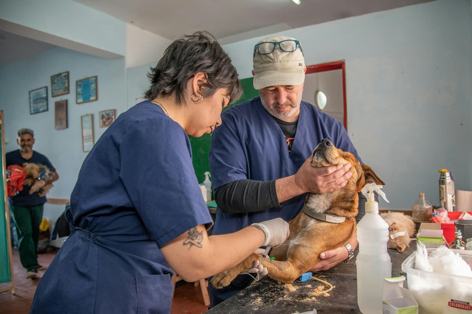 two vets in scrubs holding a brown dog, post-visit review still unsent