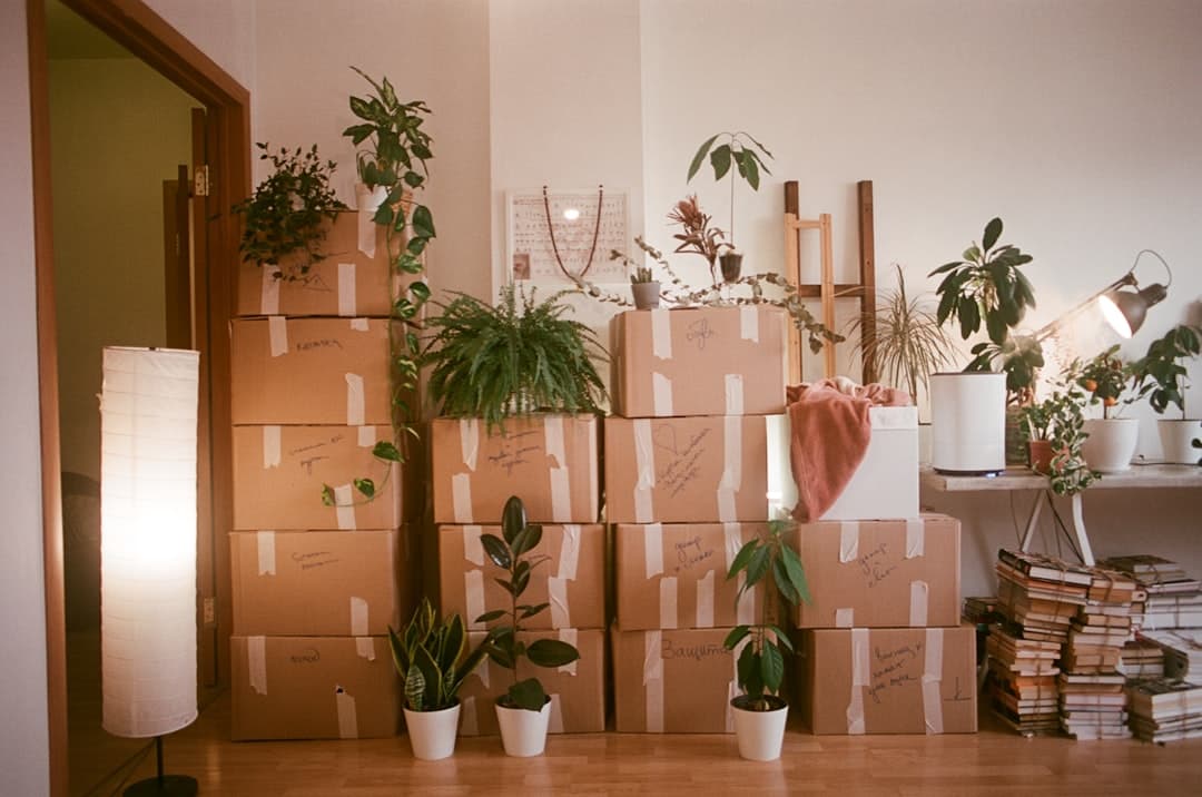 taped moving boxes stacked by the wall, this move-out clean went to whoever answered first