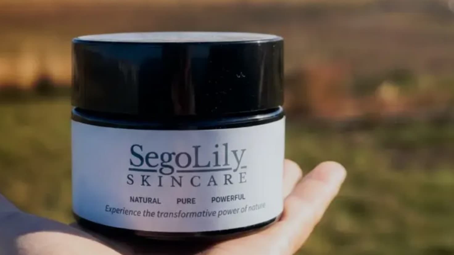 Skincare Brand Return on Ad Spend: 3x on $20 a Day
