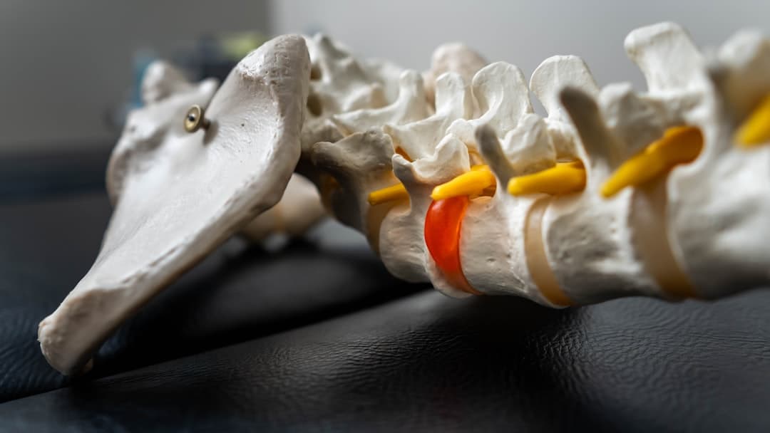 How Charlotte Chiropractors Book 31 New Patients a Month